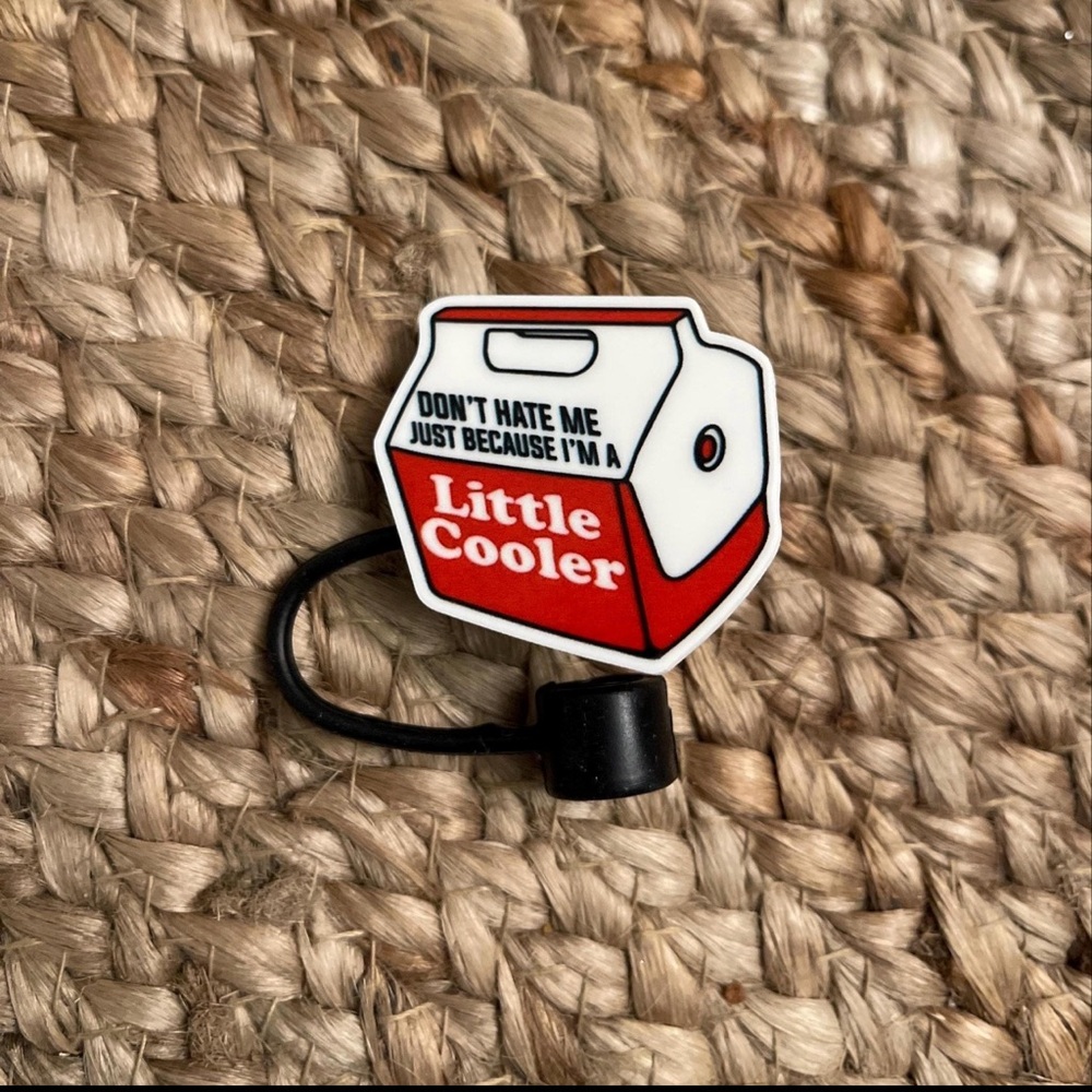 Little Cooler Stanley cup/tumbler straw topper or straw cover